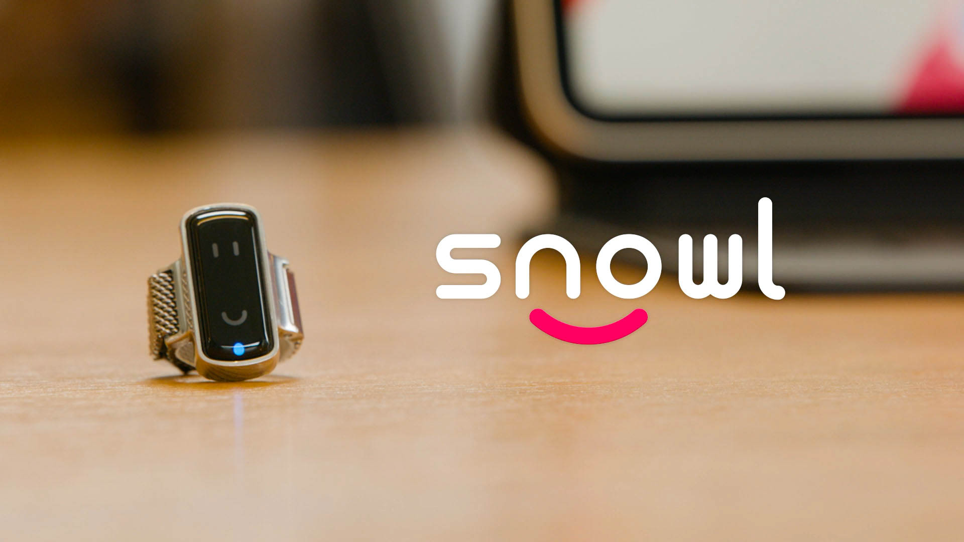 Snowl Kickstarter Video